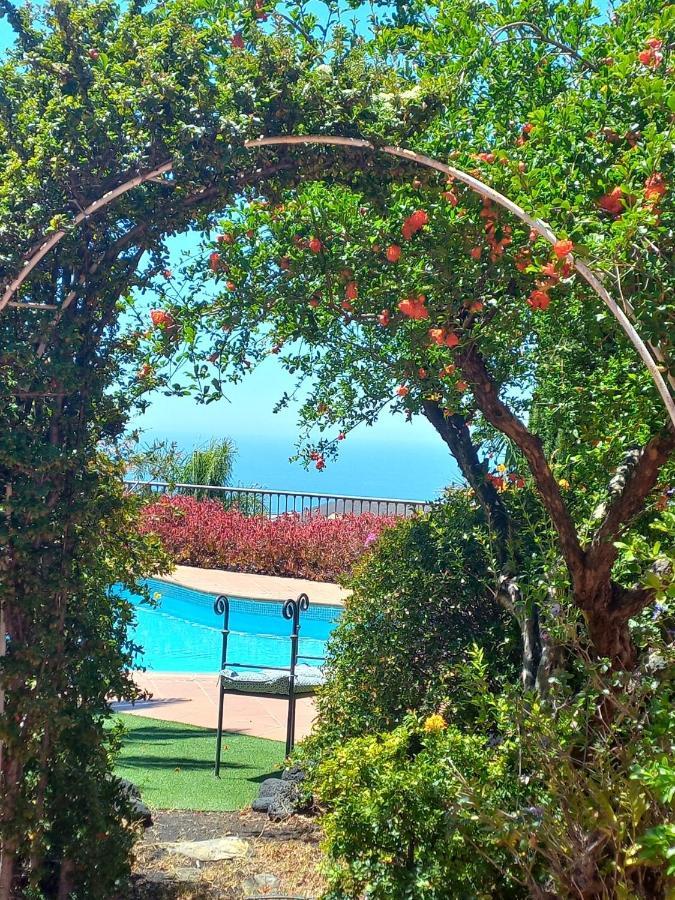 Villa Torres Los Llanos De Aridane Eksteriør billede