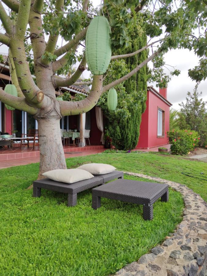 Villa Torres Los Llanos De Aridane Eksteriør billede